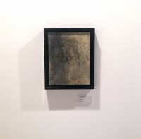 /album/arita-shahrzad-jardines-interiores/arita-shahrzad-jardines-interiores-exposicion-galeria-carlos-molto-v-jpg/